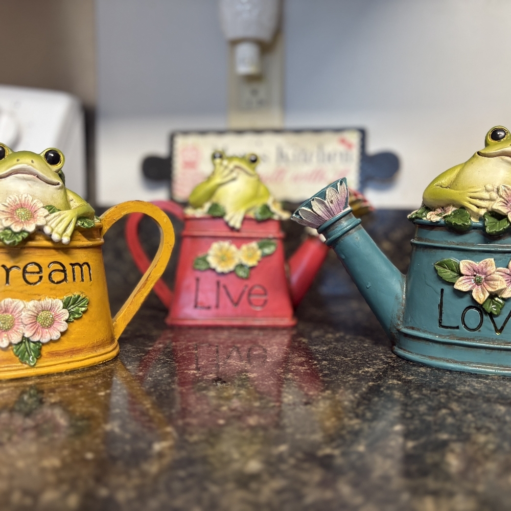 Solar Powered Watering Can with Frog and Flowers
